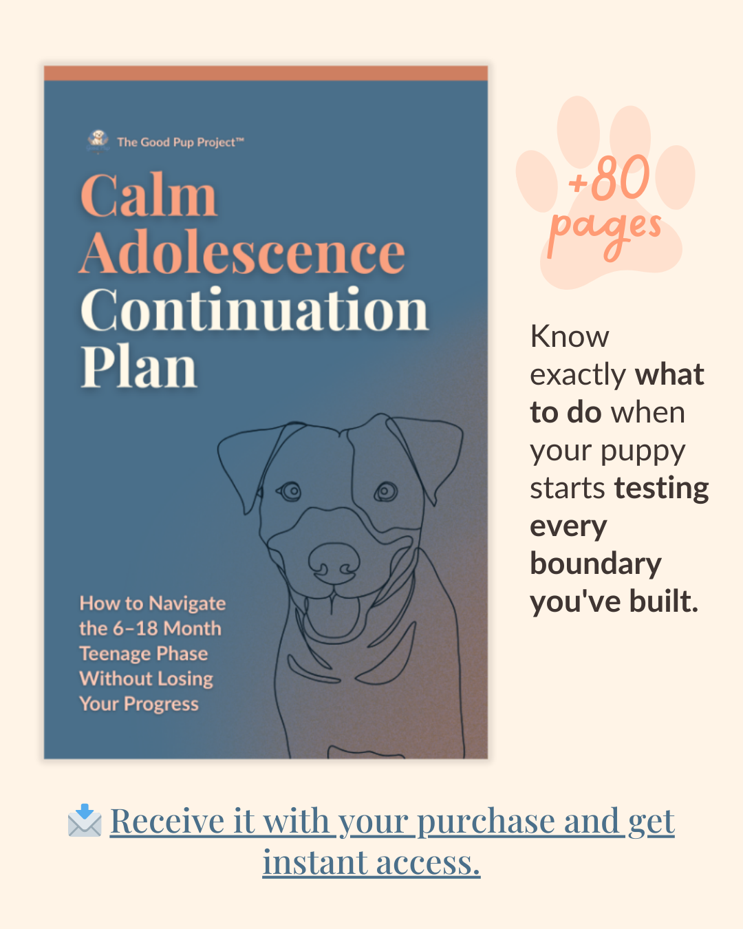 Calm Adolescence Continuation Plan