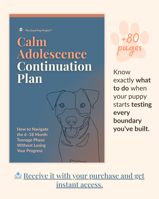 Calm Adolescence Continuation Plan