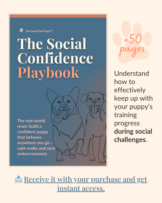The Social Confidence Playbook