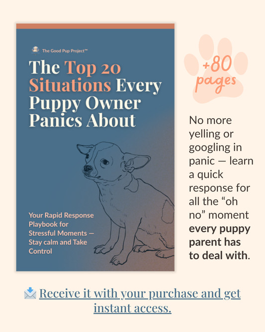 The Top 20 Situations Every Puppy Owner Panics About